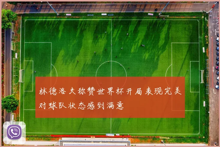 林德洛夫称赞世界杯开局表现完美对球队状态感到满意