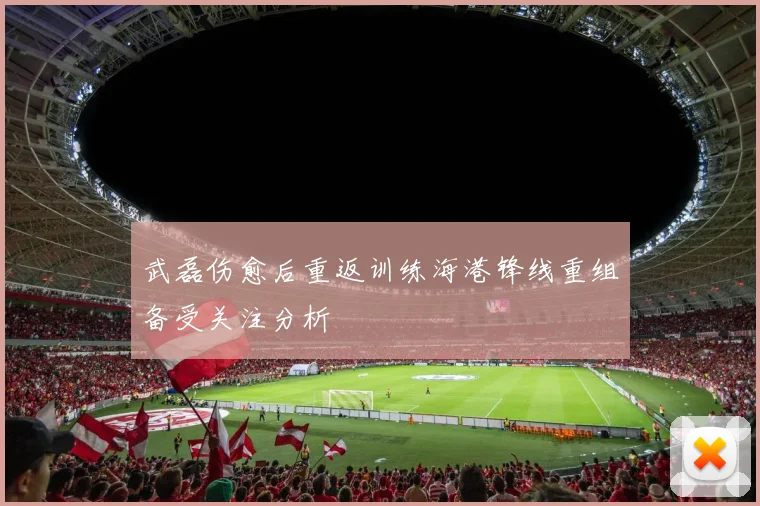 武磊伤愈后重返训练海港锋线重组备受关注分析